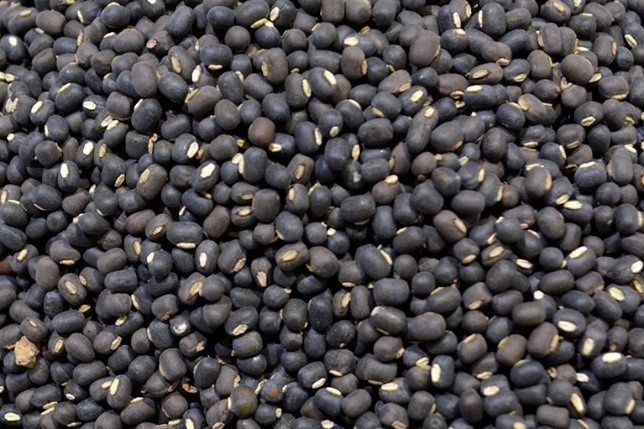 Black Matpe